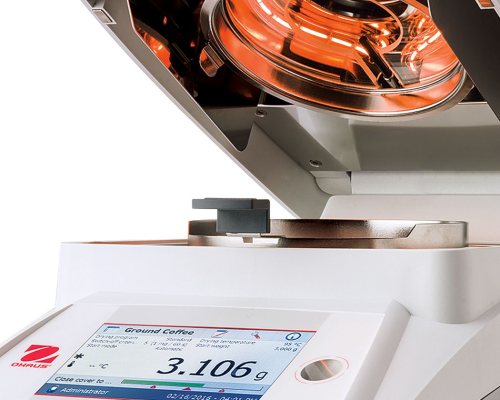 изображение_2026-03-20_163627806